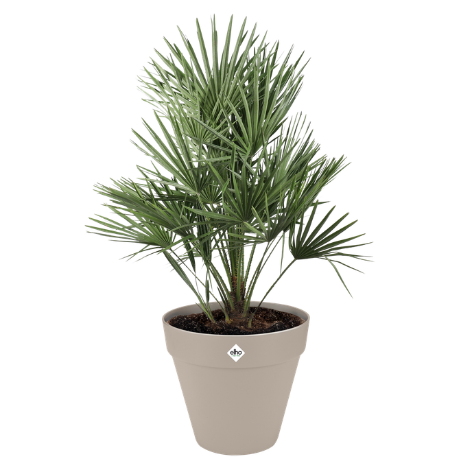 loft urban rond wielen 50cm paddenstoel beige